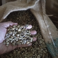 resources of Green Coffee Bean exporters