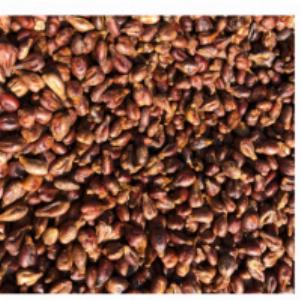 Dried Grape Seeds Exporters, Wholesaler & Manufacturer | Globaltradeplaza.com