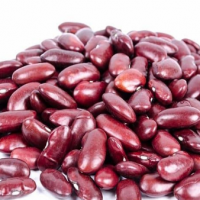 Red Kidney Bean Exporters, Wholesaler & Manufacturer | Globaltradeplaza.com