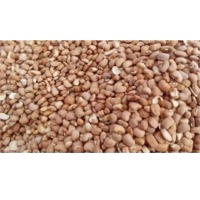 Brown Beans Exporters, Wholesaler & Manufacturer | Globaltradeplaza.com