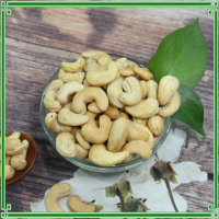 resources of Cashew Nuts Sw240 exporters