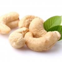 resources of Cashew Nut Ww450 exporters