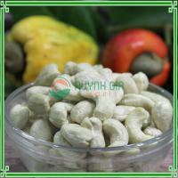 resources of Cashew Nuts Ww240 exporters