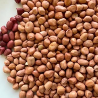 resources of Peanuts exporters