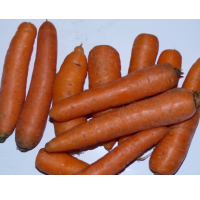 Carrots Exporters, Wholesaler & Manufacturer | Globaltradeplaza.com