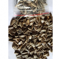 resources of Confectionary Sunflower Seeds exporters