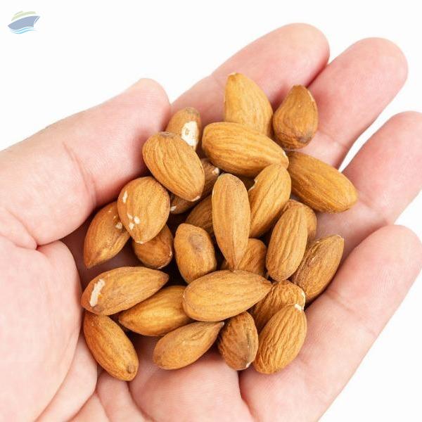 resources of Almonds exporters