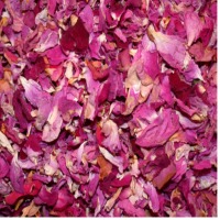 resources of Dry Rose Oil Petals exporters