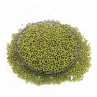 Green Mung Beans For Human Consumption Exporters, Wholesaler & Manufacturer | Globaltradeplaza.com