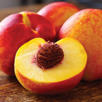 Export Fresh Peach Exporters, Wholesaler & Manufacturer | Globaltradeplaza.com