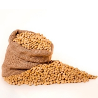 High Quality Dried Yellow Soybeans Exporters, Wholesaler & Manufacturer | Globaltradeplaza.com