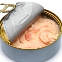 resources of Tuna In Can exporters