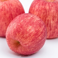 resources of Delicious Red Apple exporters