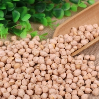 Kabuli Chickpeas 9Mm, 8Mm, 10Mm, 12Mm Exporters, Wholesaler & Manufacturer | Globaltradeplaza.com