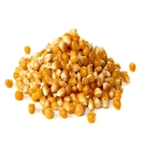 Popcorn Exporters, Wholesaler & Manufacturer | Globaltradeplaza.com