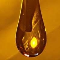 resources of D6 Virgin Fuel exporters