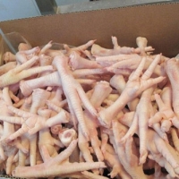 resources of Frozen Chicken Feet (Grade A) exporters