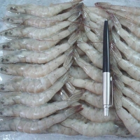 resources of Frozen Shrimps/prawns For Export exporters