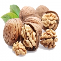resources of A Grade Raw Dried Walnut Kernel For Sale exporters