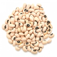 resources of Black Eye Beans exporters