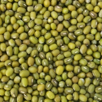 resources of Moong Beans exporters