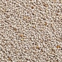 resources of White Chia Seeds exporters