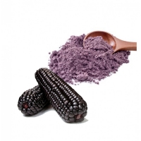 Purple Corn Powder Exporters, Wholesaler & Manufacturer | Globaltradeplaza.com