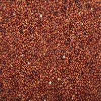 Red Quinoa Exporters, Wholesaler & Manufacturer | Globaltradeplaza.com