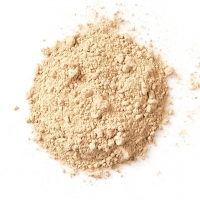 resources of Ginger Powder exporters