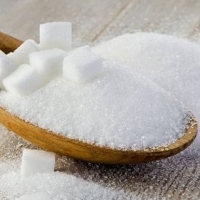 resources of Icumsa 45 Sugar exporters