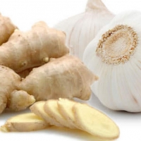resources of Garlic And Ginger exporters