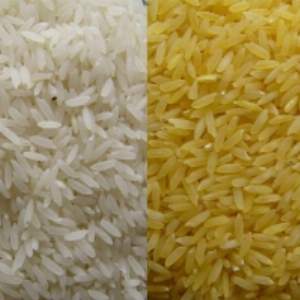 Irri 6 Long Grain Cheaper Rice Exporters, Wholesaler & Manufacturer | Globaltradeplaza.com