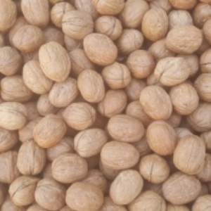 Walnut (Whole) Exporters, Wholesaler & Manufacturer | Globaltradeplaza.com