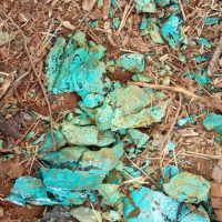 resources of Copper Concentrate exporters