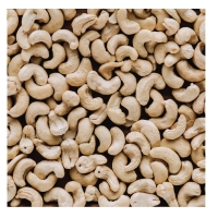 resources of Cashew Nuts ( W450 ) exporters