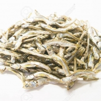 resources of Dried Anchovy Fish Viet Nam exporters