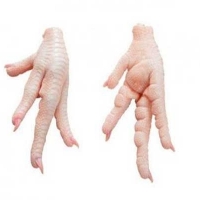 resources of Halal Clean Grade Aa Processed Chicken Feet exporters