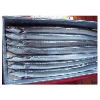 Bulk Selling Frozen Eel Fish Exporters, Wholesaler & Manufacturer | Globaltradeplaza.com