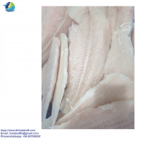 resources of Pangasius Fillet Well-Trimmed, Frozen Fish exporters