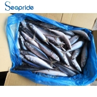 resources of Chinese Mackerel Fish Product exporters