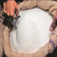 resources of Icumsa 45 Sugar Refined Sugar exporters