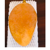 resources of Fresh Mango exporters