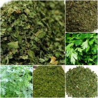 resources of Parsley exporters