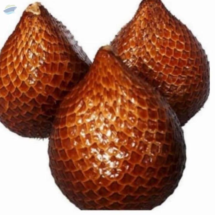 resources of Snakefruit/salacca/ Salak exporters