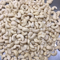 Cashew Nuts Raw Exporters, Wholesaler & Manufacturer | Globaltradeplaza.com