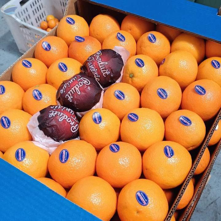 Oranges Valencia Exporters, Wholesaler & Manufacturer | Globaltradeplaza.com