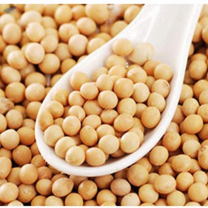Soybean Seeds Exporters, Wholesaler & Manufacturer | Globaltradeplaza.com
