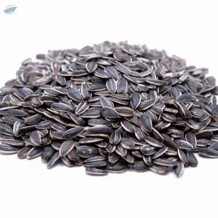 Striped Sunflower Seeds, Pioneer Type Exporters, Wholesaler & Manufacturer | Globaltradeplaza.com