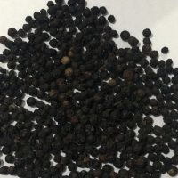 Ceylon Black Pepper Exporters, Wholesaler & Manufacturer | Globaltradeplaza.com