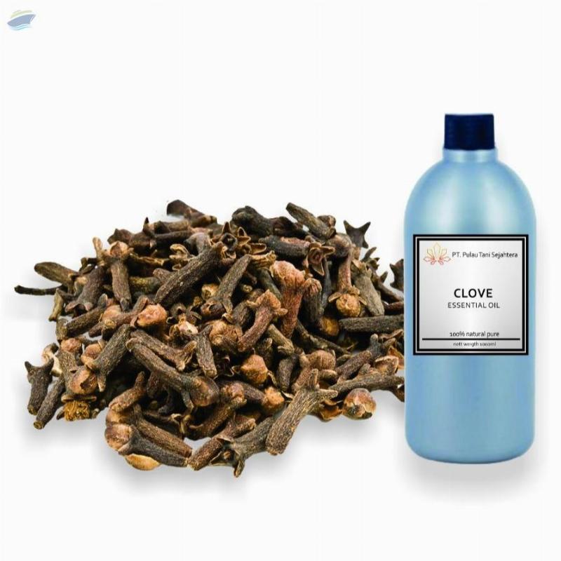 Clove Essential Oil Exporters, Wholesaler & Manufacturer | Globaltradeplaza.com